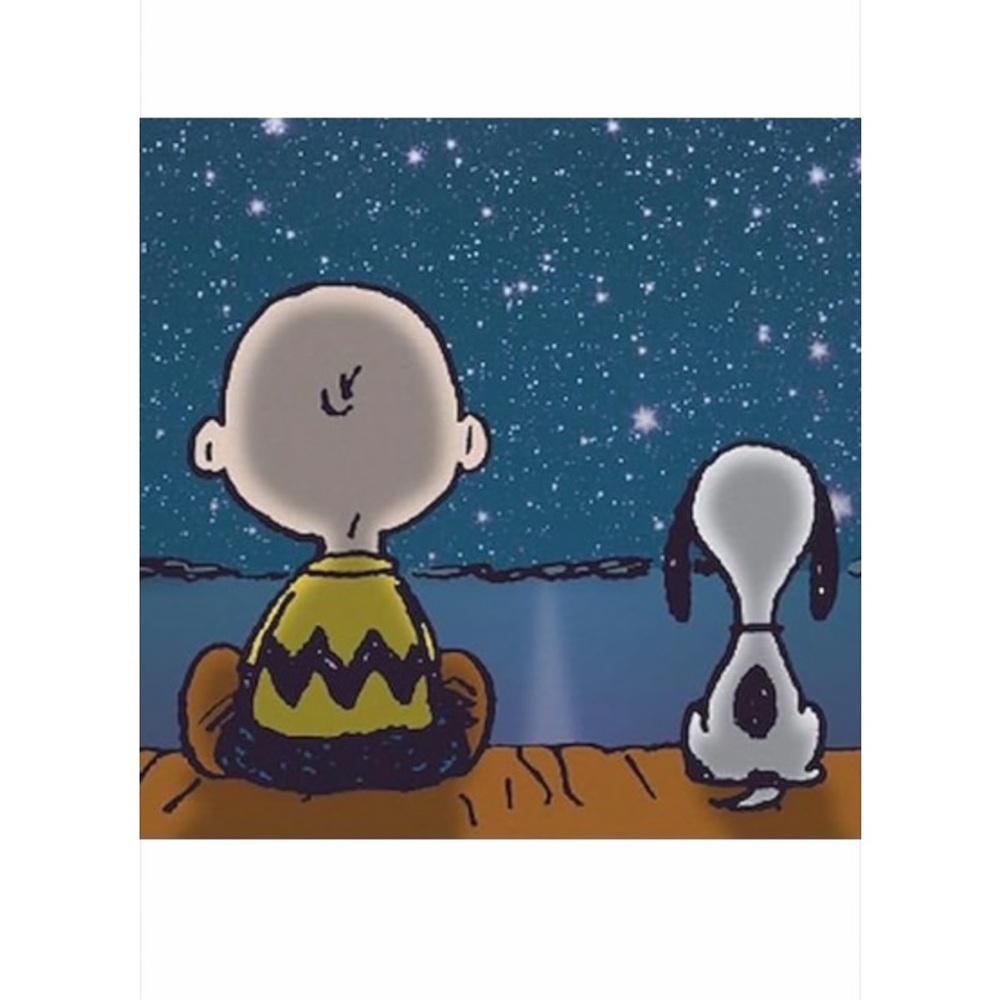 Hi, I’m Christyl in Tucson AZ 
My Passion is working with German Shepards.